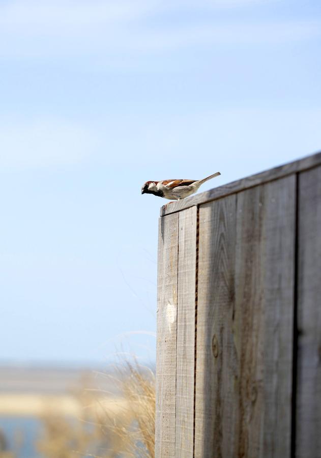 Dormir Sur La Plage Marennes  Exterior photo